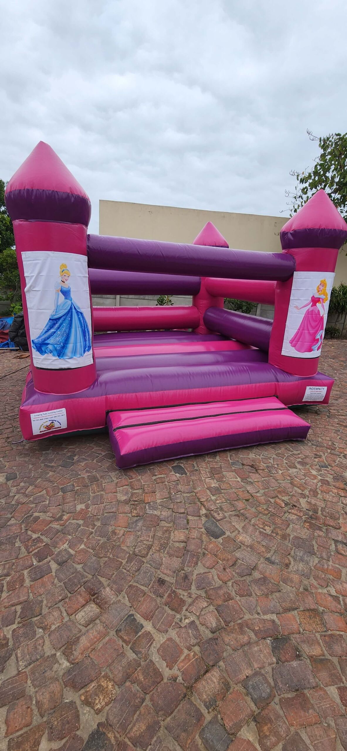 Princess Pink Jumping Castle